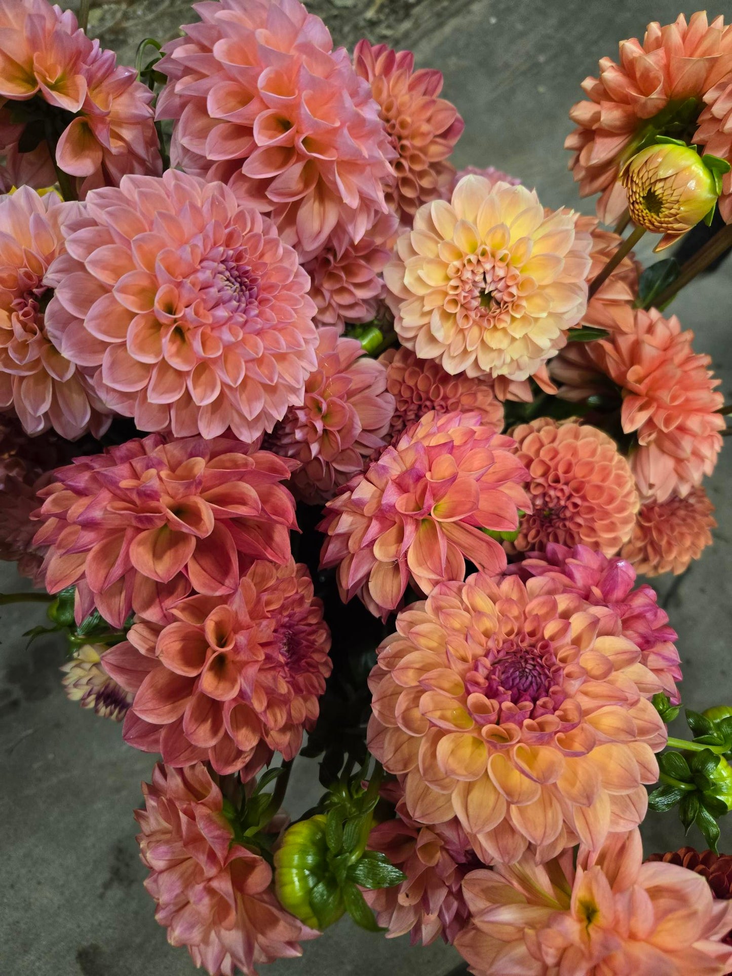 Once a Month Flowers, Farm Pick-up