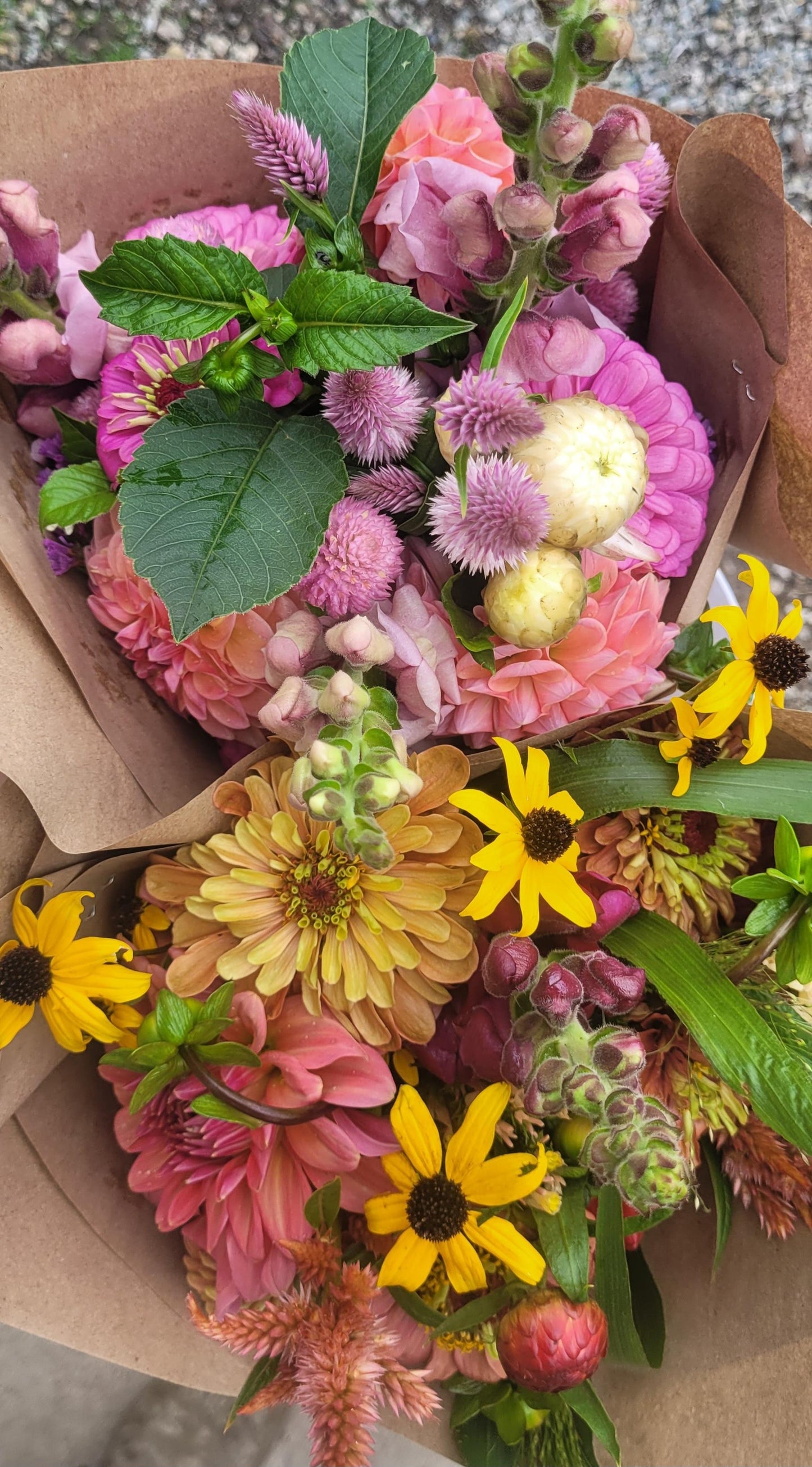 A Summer of Fresh Flowers, Once a Month, Delivered (July-October)