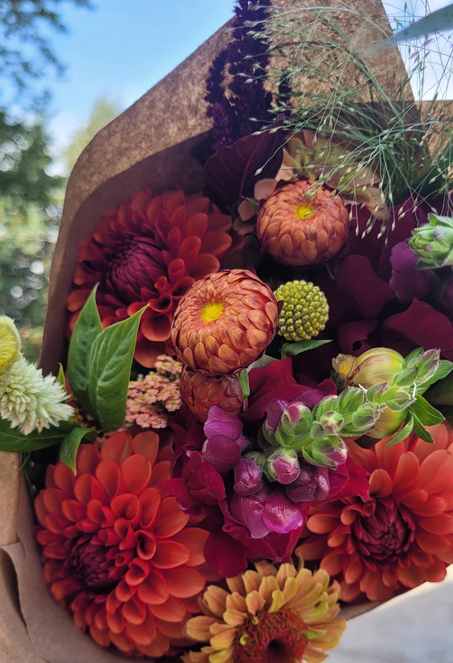 A summer of Fresh Flowers. Bi-Weekly (Delivery) July-October