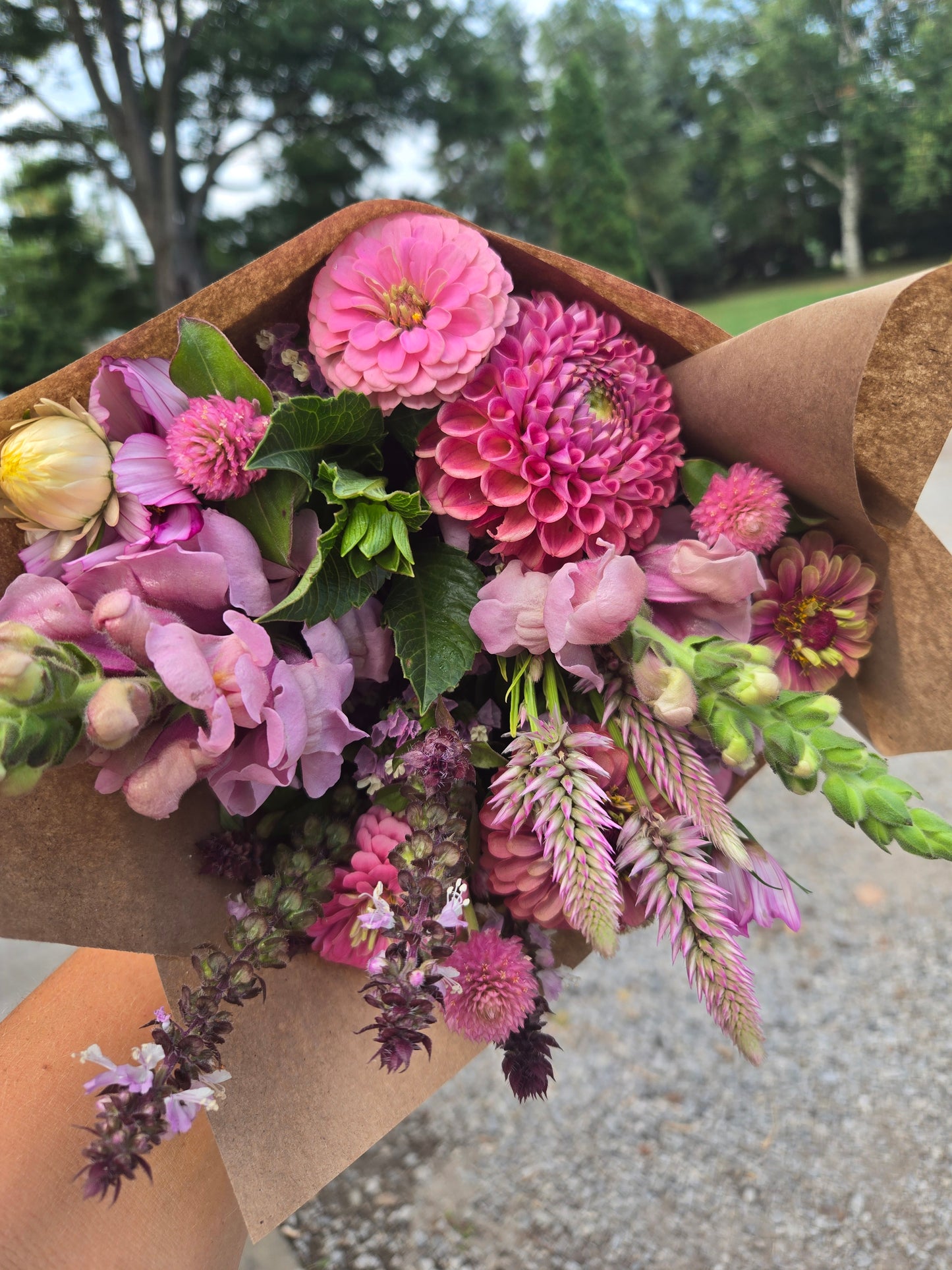 Bi-Weekly, Farm Pick-up