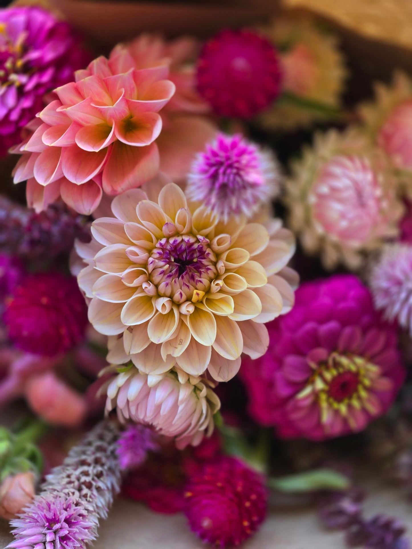 Bi-Weekly, Farm Pick-up